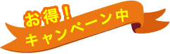 お得! キャンペーン中